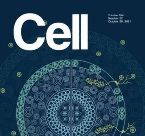 祝賀王二濤老師團(tuán)隊(duì)又一佳作榮登Cell期刊！