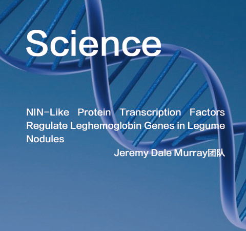 祝賀Jeremy Dale Murray團(tuán)隊(duì)佳作榮登Science期刊！